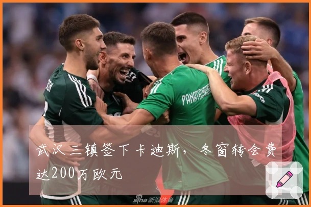 武汉三镇签下卡迪斯，冬窗转会费达200万欧元