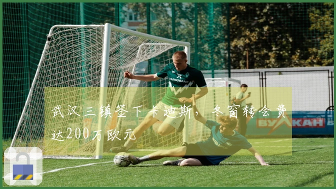 武汉三镇签下卡迪斯，冬窗转会费达200万欧元
